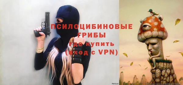 ПСИЛОЦИБИНОВЫЕ ГРИБЫ Корсаков