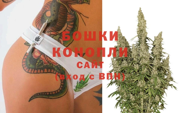 ПСИЛОЦИБИНОВЫЕ ГРИБЫ Корсаков