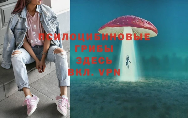 дурь Коряжма