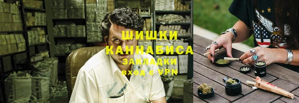ПСИЛОЦИБИНОВЫЕ ГРИБЫ Корсаков