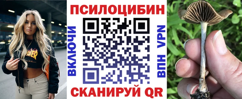 Псилоцибиновые грибы GOLDEN TEACHER  где купить наркоту  Мариинск 