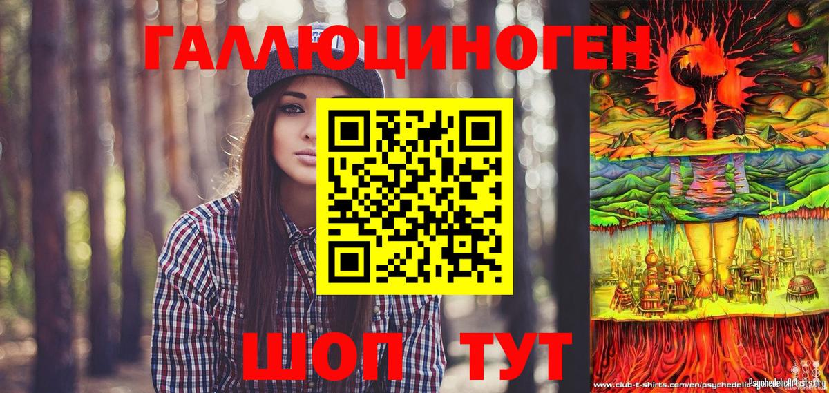 Псилоцибиновые грибы Psilocybe Мариинск
